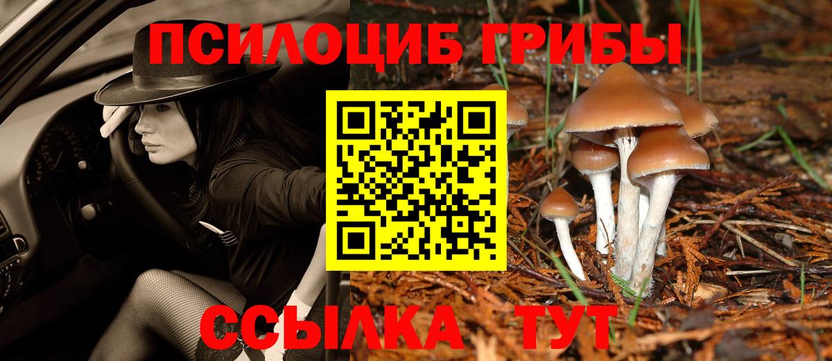 Псилоцибиновые грибы мухоморы Кушва